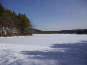 Walden Pond