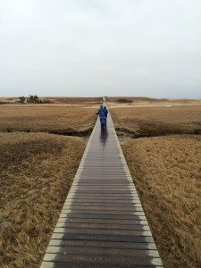 On the boardwalk to Cape Cod Bay