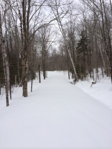 The snow trail beckons