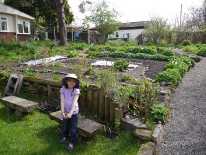 The garden that first made people take notice of the Findhorn Community